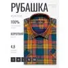 Разноцветная приталенная рубашка в клетку с коротким рукавом-4