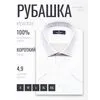 Белая приталенная рубашка в горошек с коротким рукавом-4